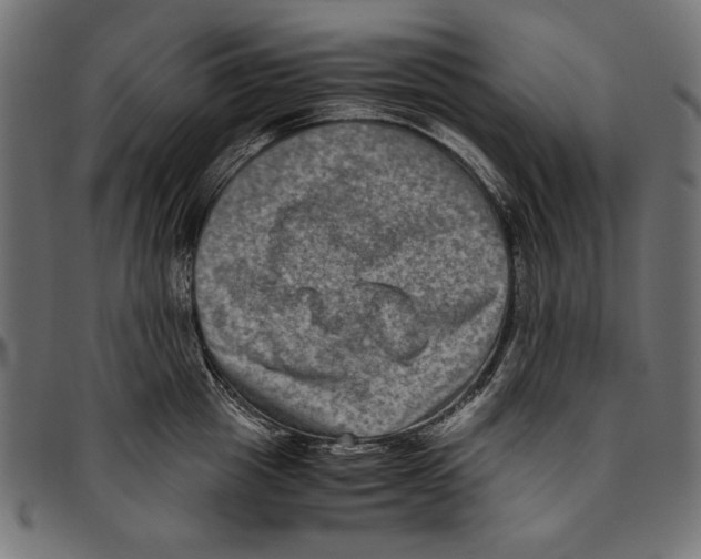 X0000094780857200712141619