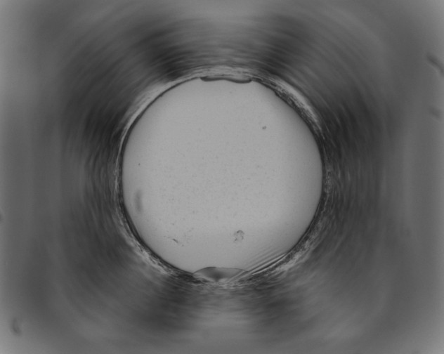 X0000094780860200712141619