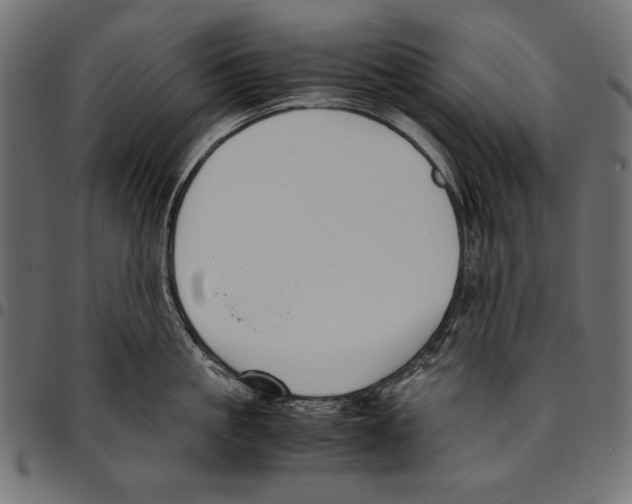 X0000094780861200712141619