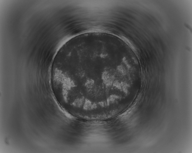 X0000094780862200712141619