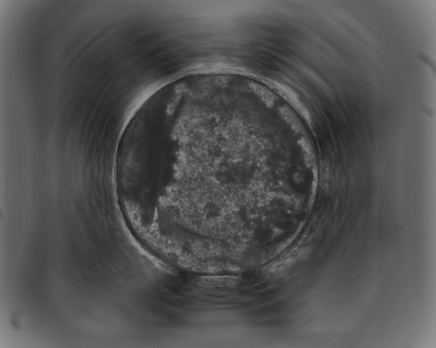 X0000094780863200712141619