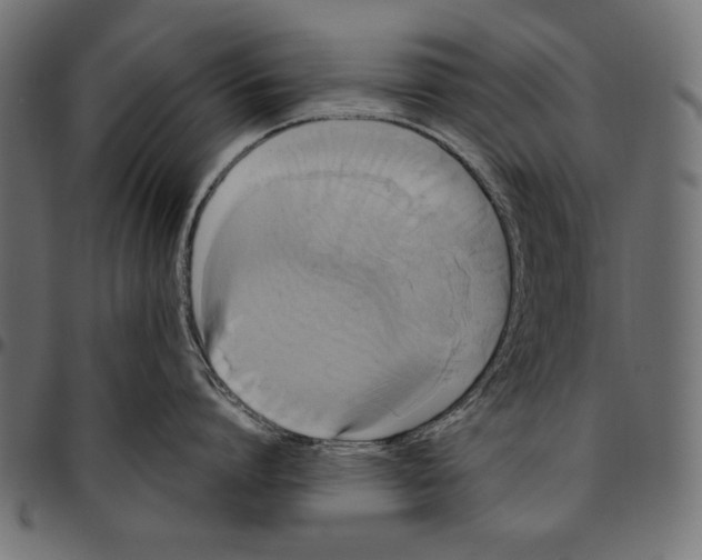 X0000094780864200712141619