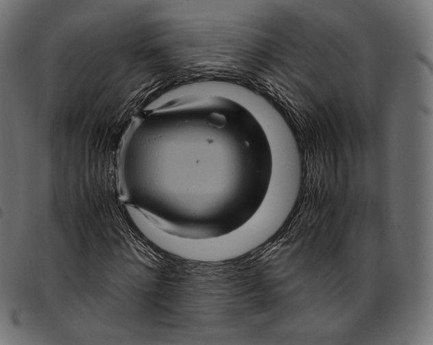 X0000094780868200712141618