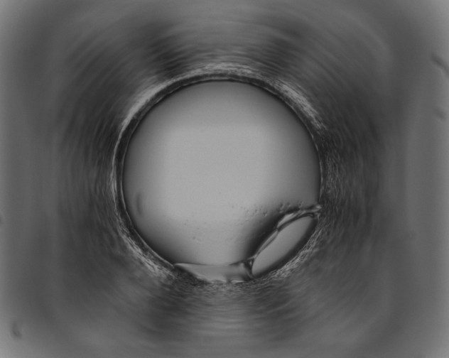 X0000094780888200712141617