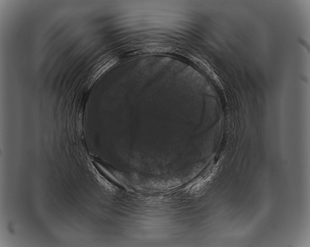 X0000094780889200712141617