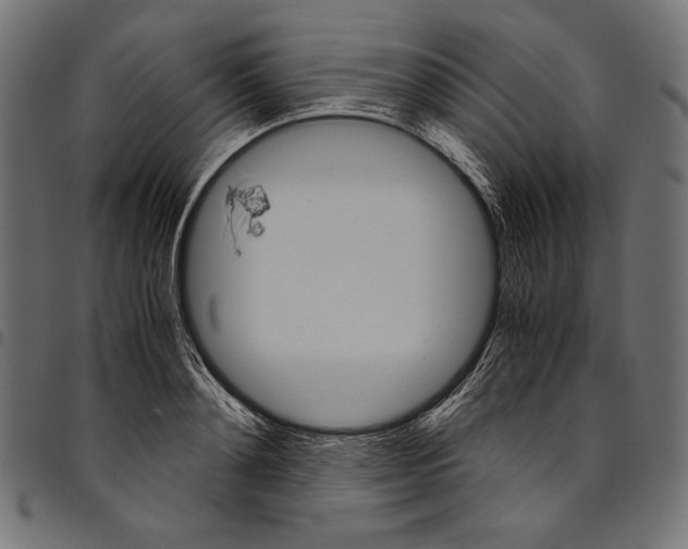 X0000094780892200712141617