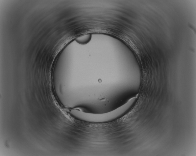 X0000094780898200712141617