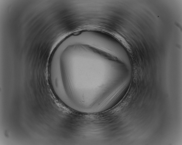 X0000094780904200712141617