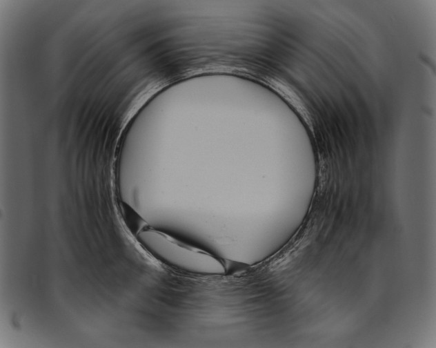 X0000094780906200712141617