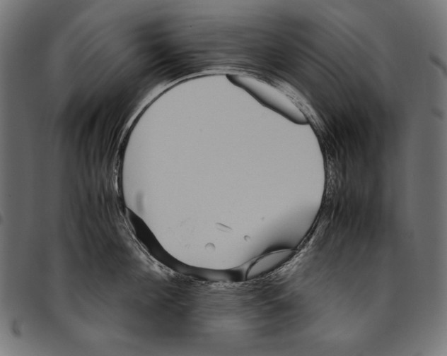 X0000094780908200712141617