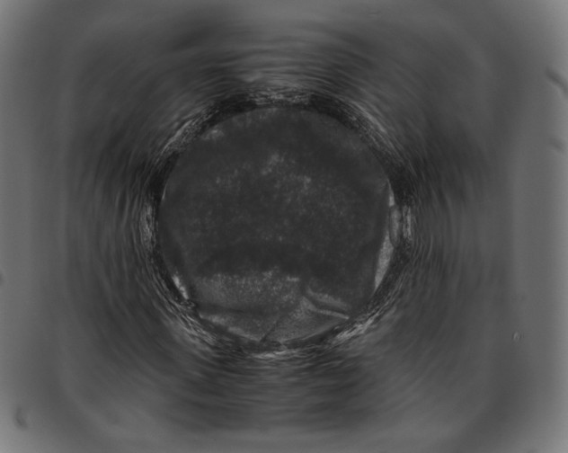 X0000094780915200712141617