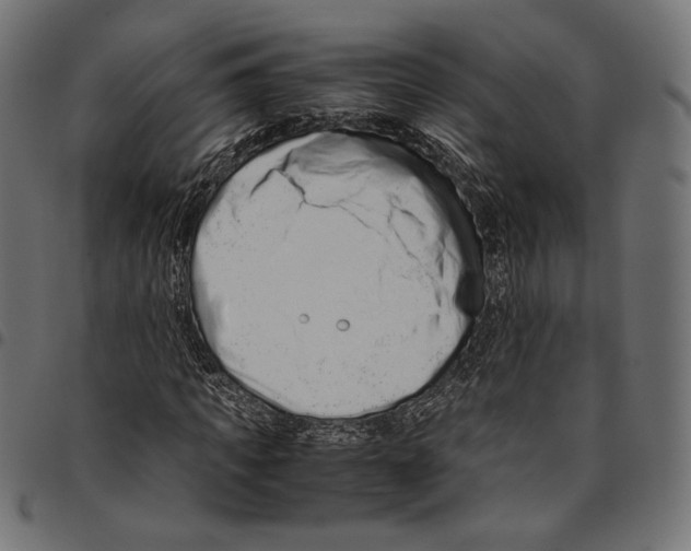 X0000094780917200712141617