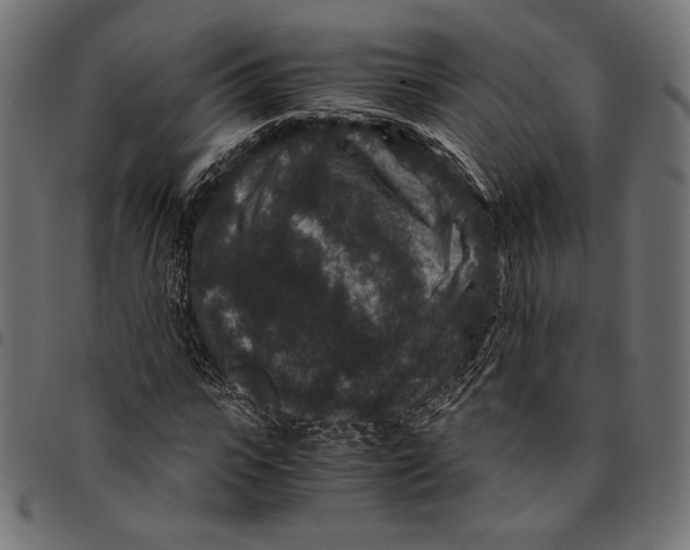 X0000094780919200712141617