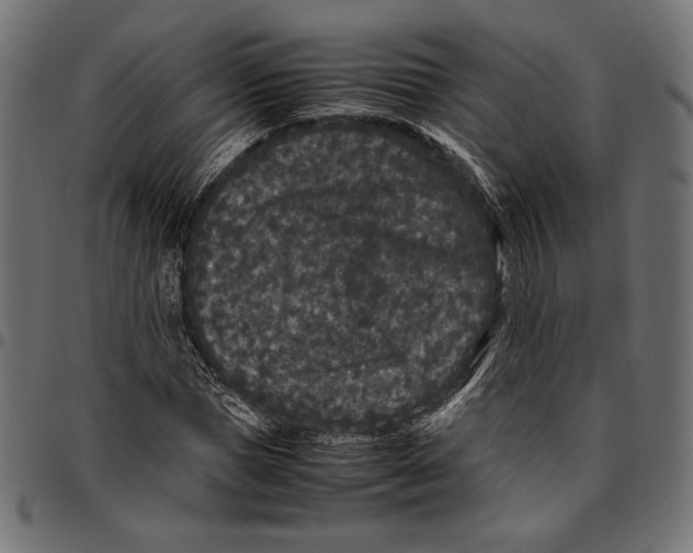 X0000094780921200712141617