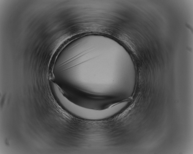 X0000094780924200712141617