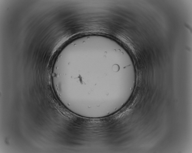 X0000094780925200712141617