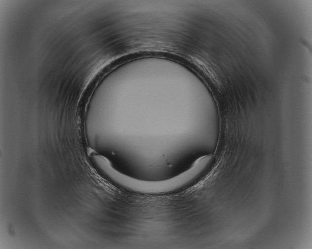 X0000094780926200712141617