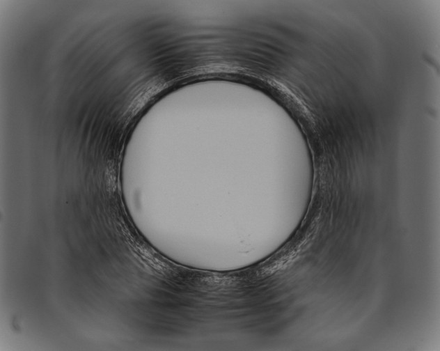 X0000094780929200712141617