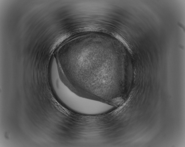 X0000094780930200712141617