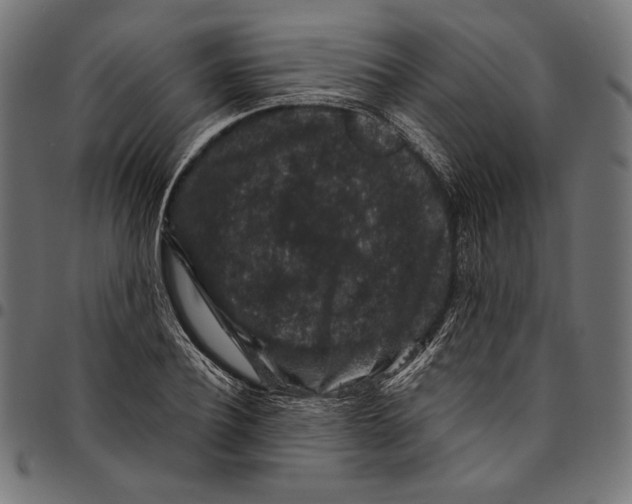 X0000094780932200712141617