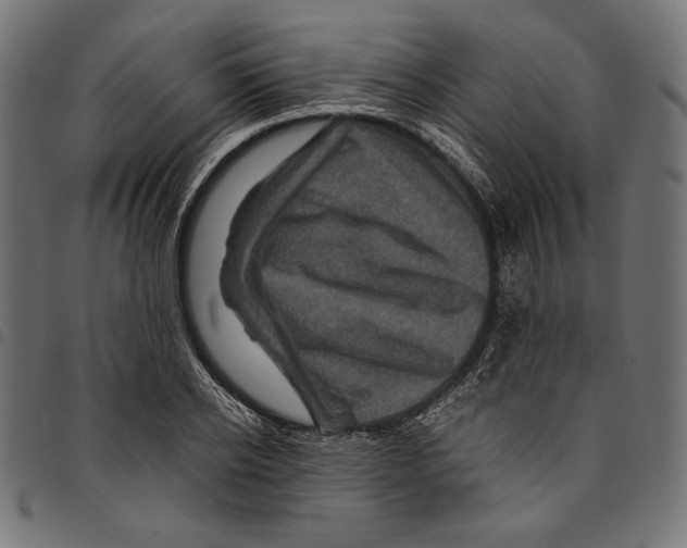 X0000094780934200712141617