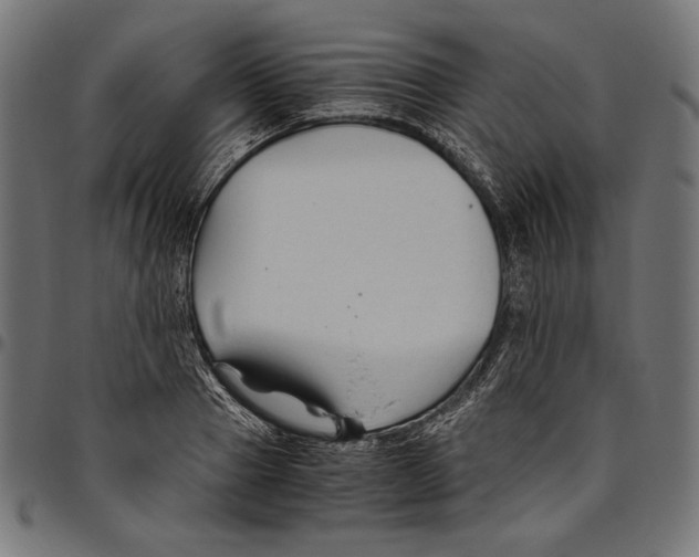 X0000094780937200712141617