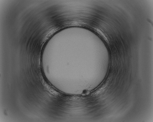 X0000094780938200712141617