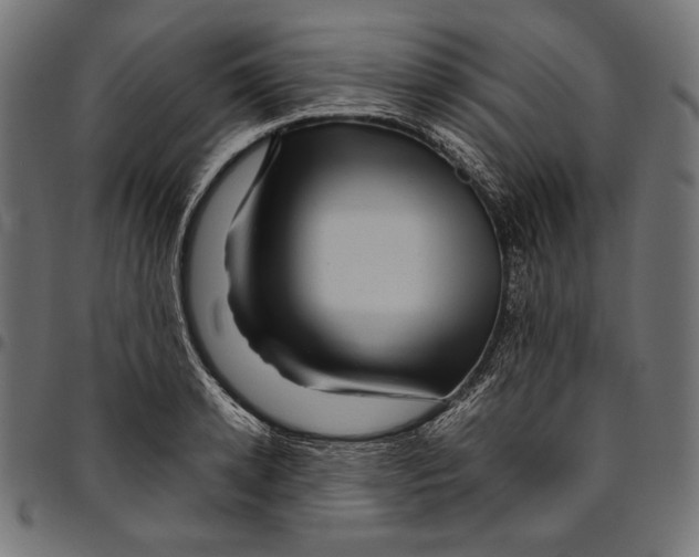 X0000094780942200712141617