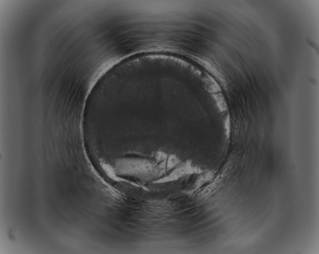 X0000094780943200712141617