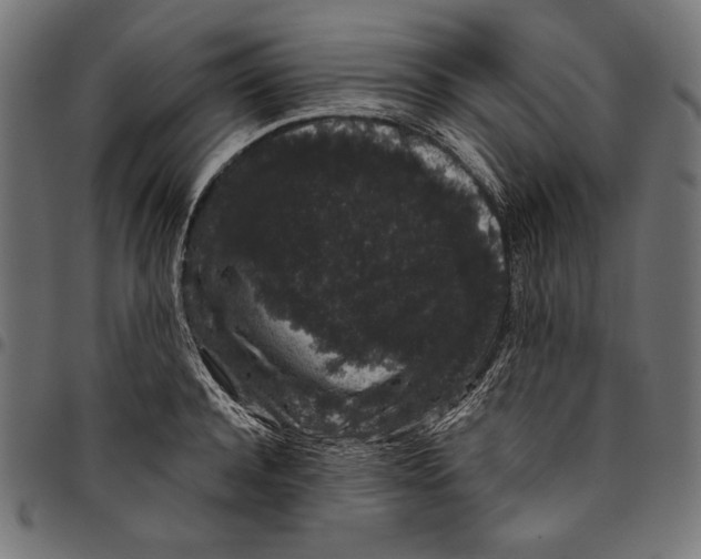 X0000094780944200712141617