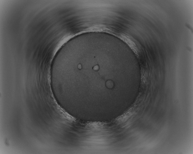 X0000094780950200712141617