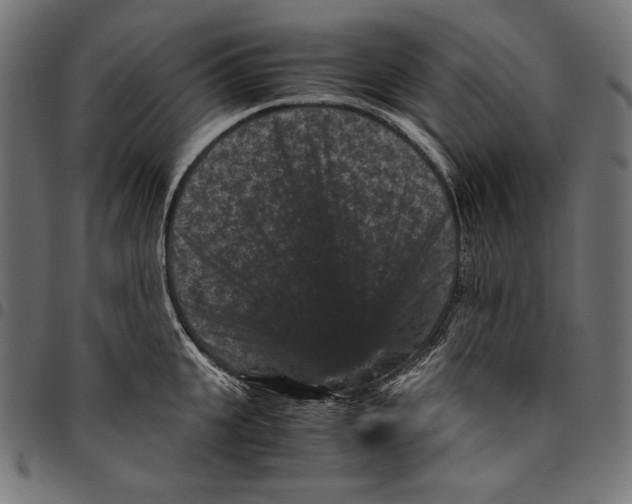 X0000094780951200712141617