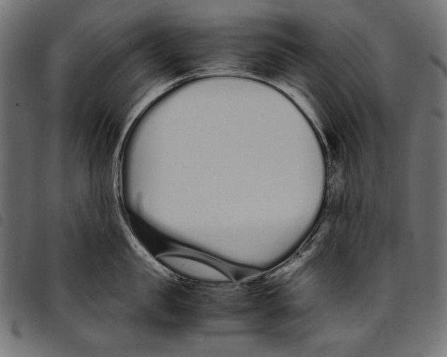 X0000094780957200712141617