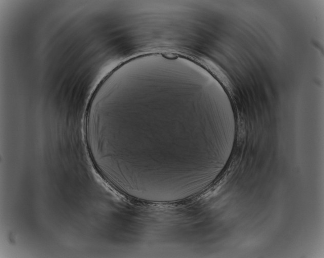 X0000094780958200712141617