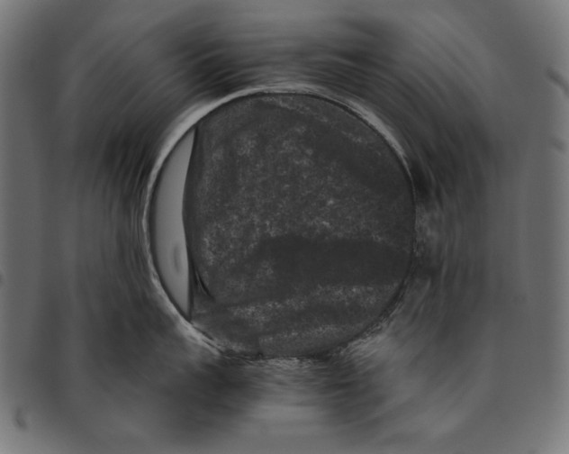 X0000094780959200712141617