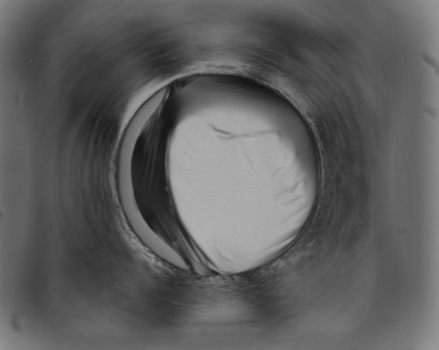 X0000094780960200712141617