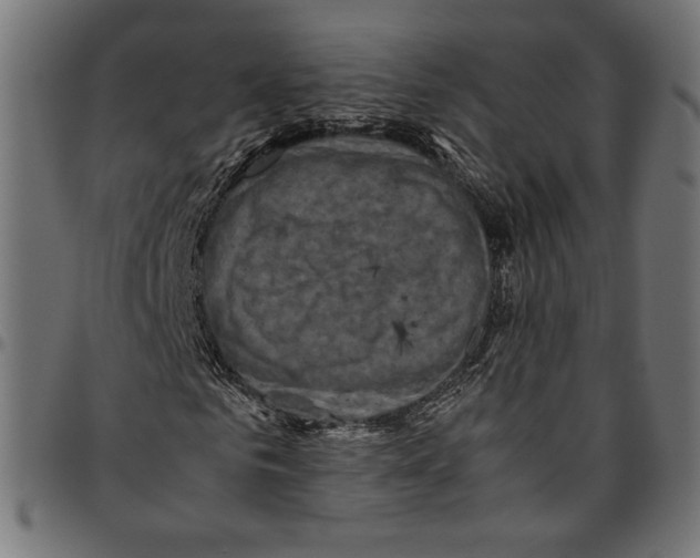 X0000094780961200712141616