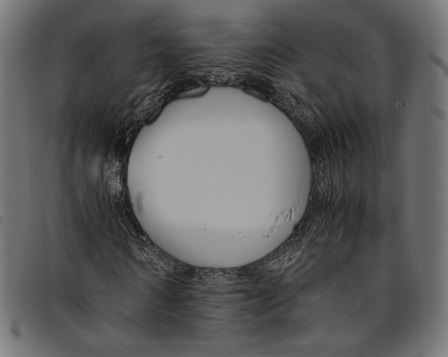 X0000094780962200712141616