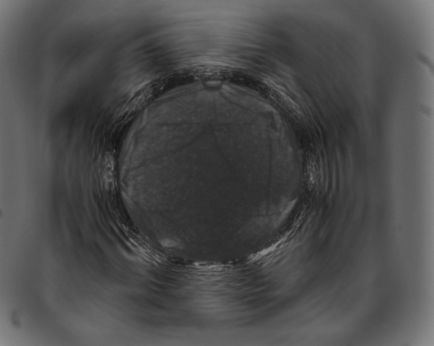 X0000094780964200712141616