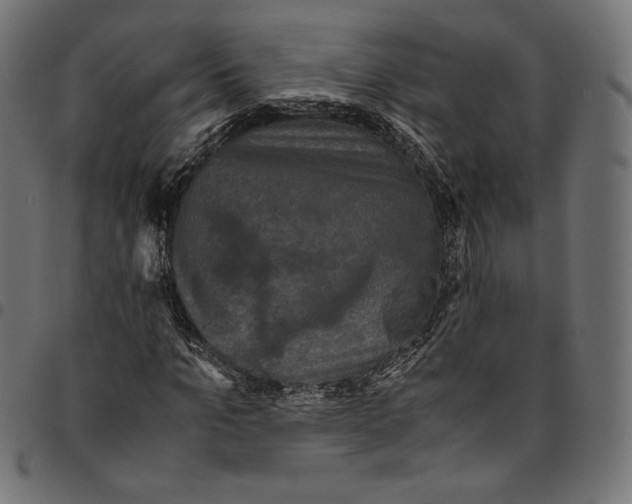 X0000094780965200712141616