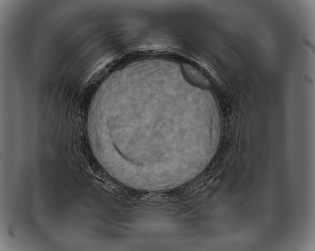 X0000094780967200712141616