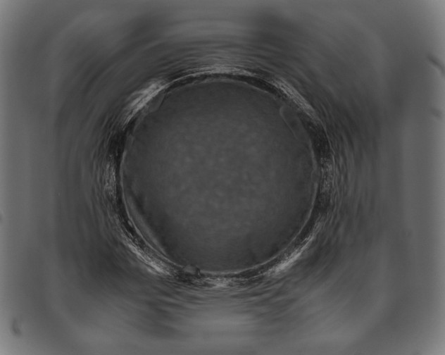 X0000094780969200712141616