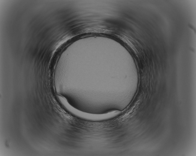 X0000094780971200712141616