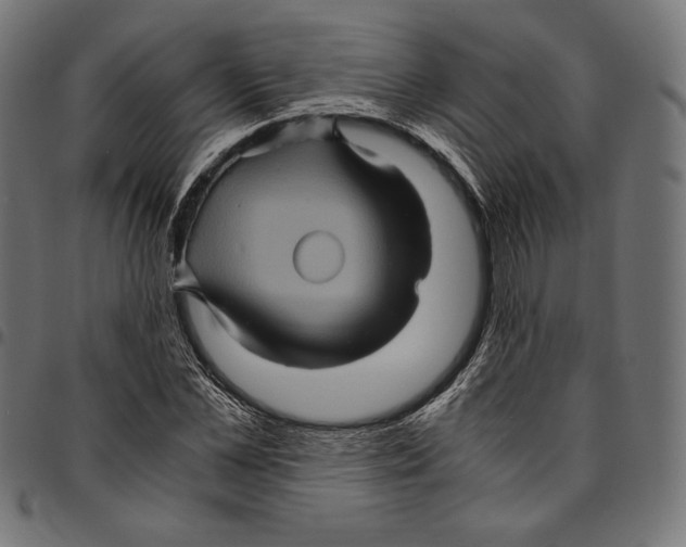 X0000094780973200712141616