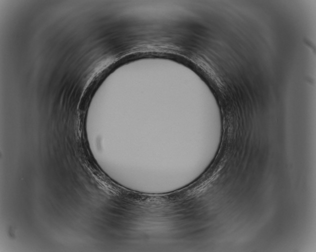 X0000094780974200712141616