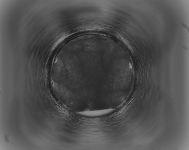 X0000094780975200712141616