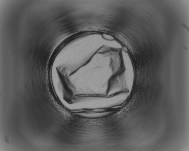 X0000094780976200712141616