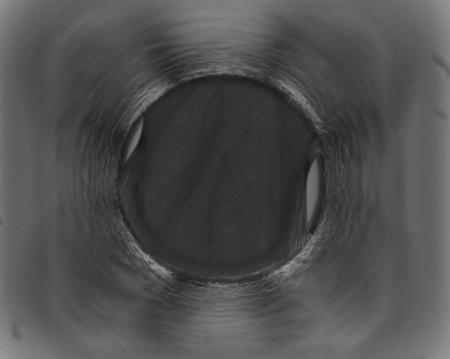 X0000094780977200712141616