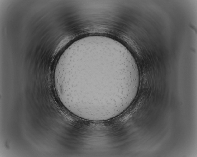 X0000094780978200712141616