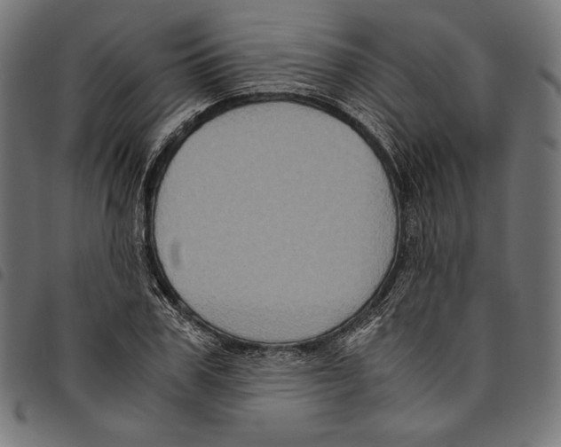 X0000094780979200712141616